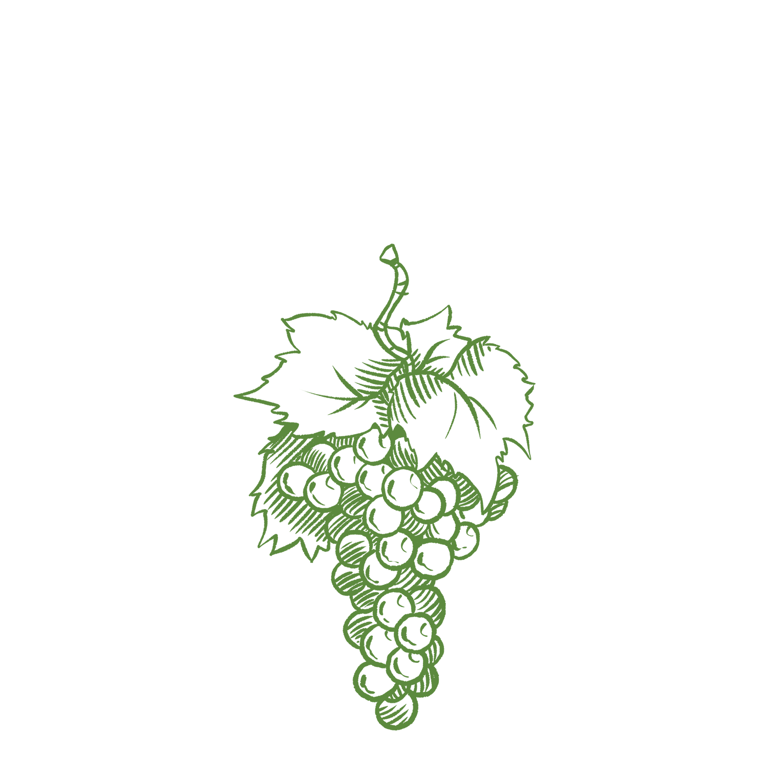 Sauvignon Blanc