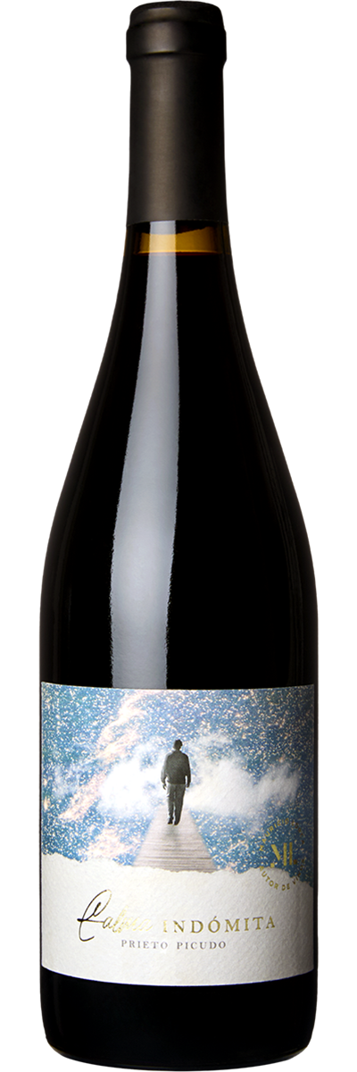 Calma Indómita Prieto Picudo 2022