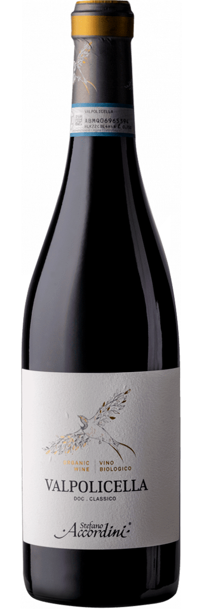 Valpolicella Classico 2024