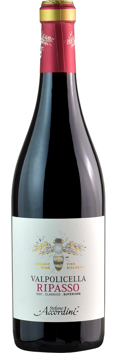 Valpolicella Ripasso Classico Superiore 2021