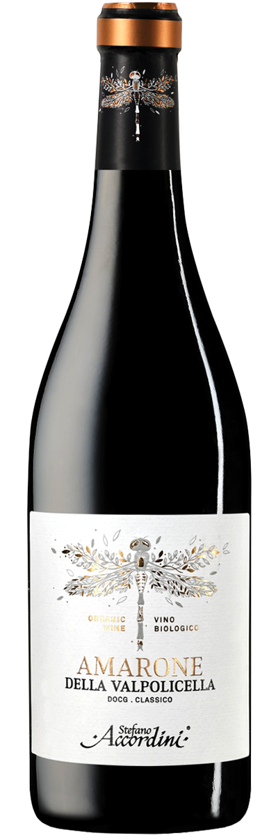 Amarone della Valpolicella Classico 2019