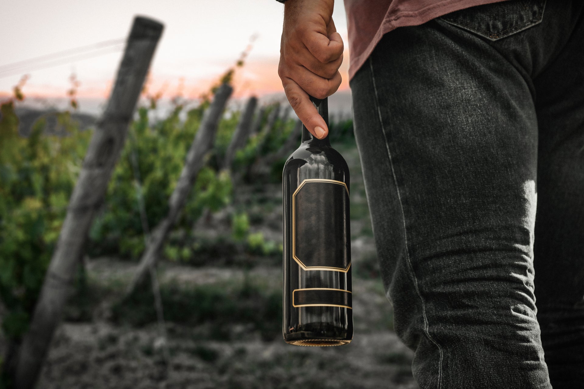 A photograph of a man walking through a vineyard holding a bottle of wine